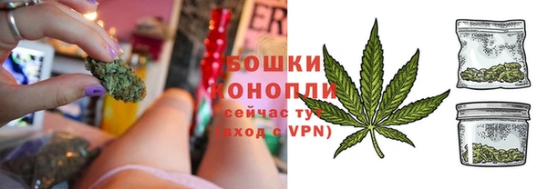 трава Белокуриха