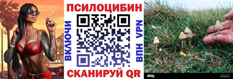 купить  сайты  Когалым  Галлюциногенные грибы GOLDEN TEACHER 
